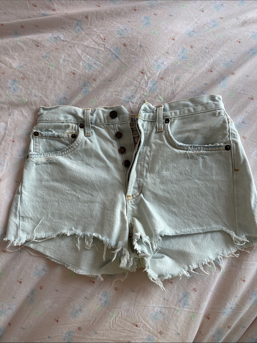 Agolde parker shorts